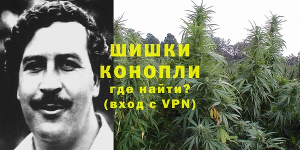 каннабис Беломорск