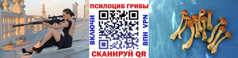 Псилоцибиновые грибы мухоморы Тюкалинск