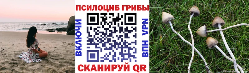 Псилоцибиновые грибы Psilocybine cubensis  где найти наркотики  Тюкалинск 